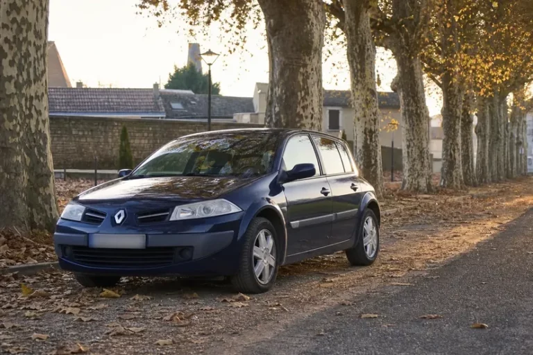 Renault Mégane II bleu nuit garée au bord d'une allée de platanes couverte de feuilles mortes, vue de trois quarts avant, capot fermé, en fin de journée d'automne.